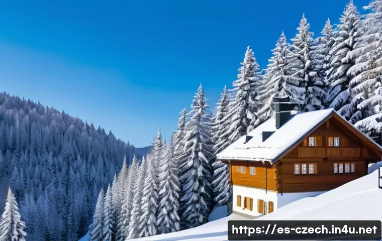 체코의 사계절 날씨 - A picturesque winter scene in the Krkonoše mountains of the Czech Republic, showing snow-covered pin...
